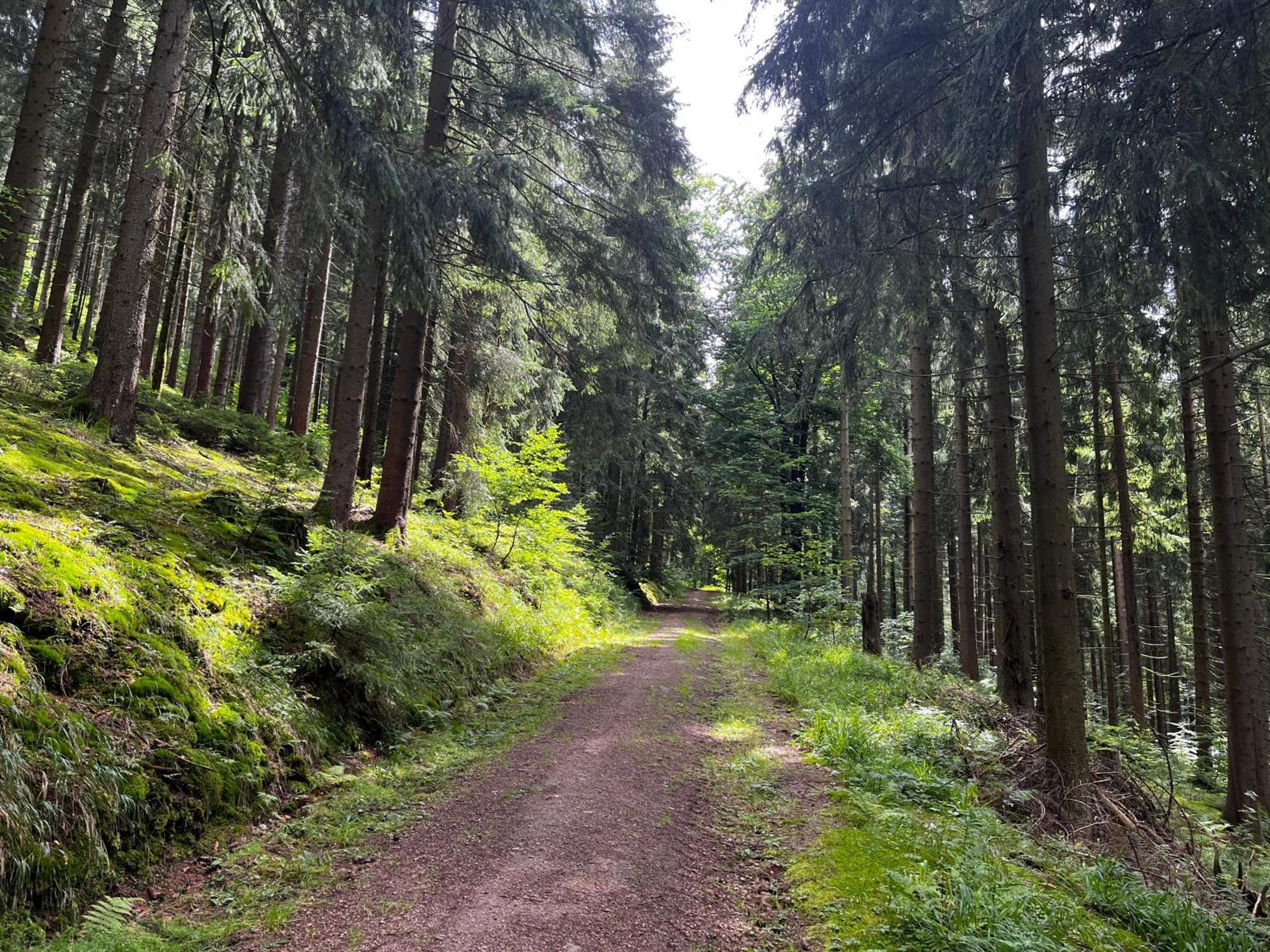 Gaestehaus Im Erzgebirge Zwönitz Eksteriør billede